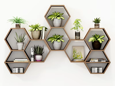 Hexagonal Wall Cabinets In Home Interior Design With Potted Plants And Books 3d model