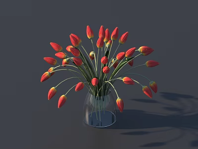 Red And Yellow Tulips Arranged In Transparent Glass Vase On Dark Background With Shadows 3d model