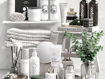 Stylish Bathroom Accessories With Folded Towels Aromatic Bottles And Green Plant On Shelves 3d model