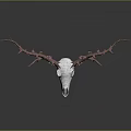 White Deer Skull Anatomical Model Medical Device For Educational Training