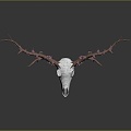 Modern Skull Goat Skull Animal Skull Fossil Skull 3d model