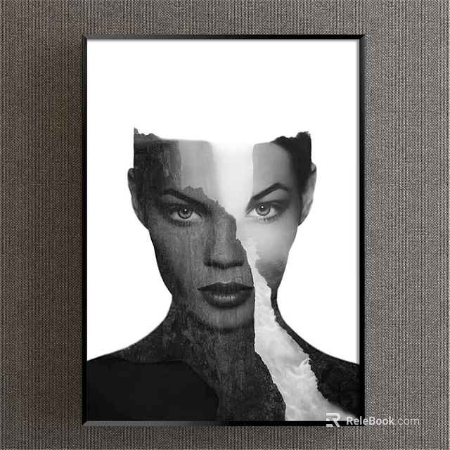Black and White Framed Portrait Painting With Female Face Half Rock Texture 3d model 