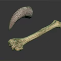 Realistic Animal Horn And Bone Displayed Isolated On White Background