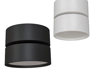 Sleek Modern Black and White Downlights Spotlights for Home Ceiling Lighting 3d model