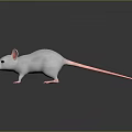 White Mouse With Pink Ears And Pink Tail On Dark Reflective Background 3d model