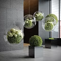 Modern Indoor Landscape Interior With Transparent Spherical Hanging Planters Green Plants And White Flowers