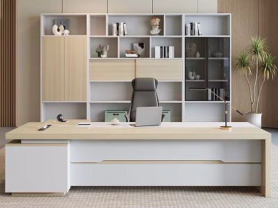 Modern Light Wood Office Desk With White Bookshelf Black Chair And Potted Plant 3d model
