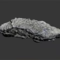 Coral Marine Animal With Intricate Branching Structure In Ocean Habitat