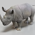 Detailed Realistic Gray Rhinoceros 3D Model Standing On White Background