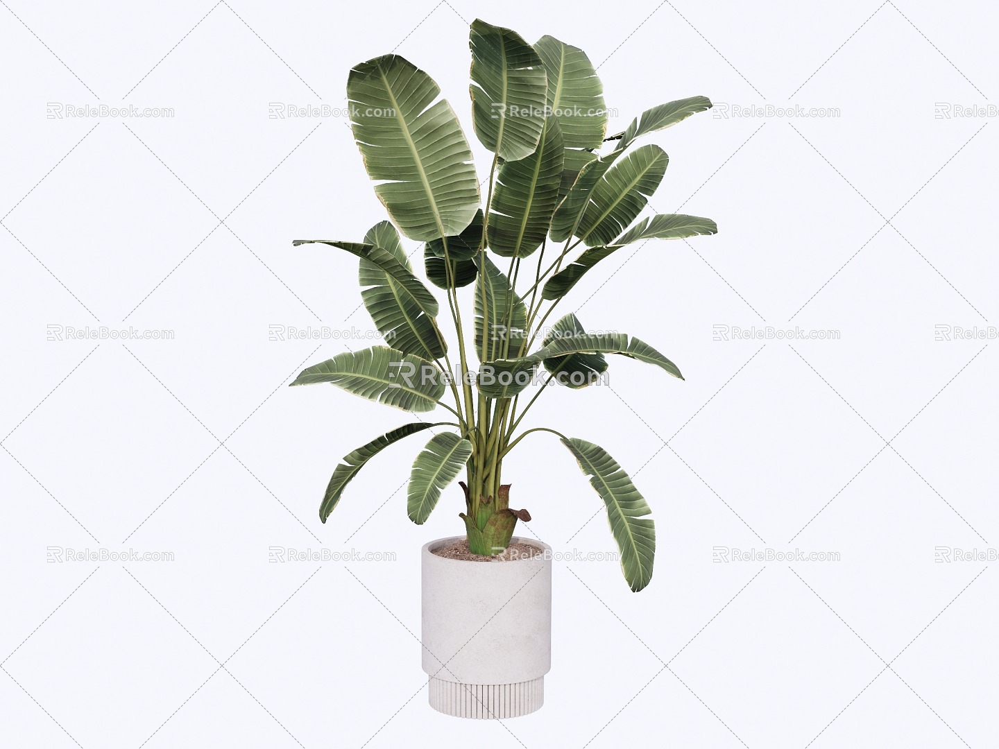 Modern indoor potted plants 3d model