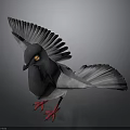 Detailed Pigeon With Spread Wings Gray And Purple Feathers Red Feet And Yellow Eyes