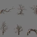 3D Rendered Dry Arbor Trees With Various Branch Root Structures And Shapes