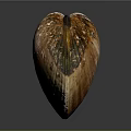 Brown And Orange Striped Clam Shell With Shiny Exterior Isolated On Dark Background