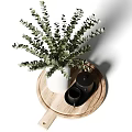 White Vase with Green Eucalyptus Foliage on Wooden Tray and Black Mugs