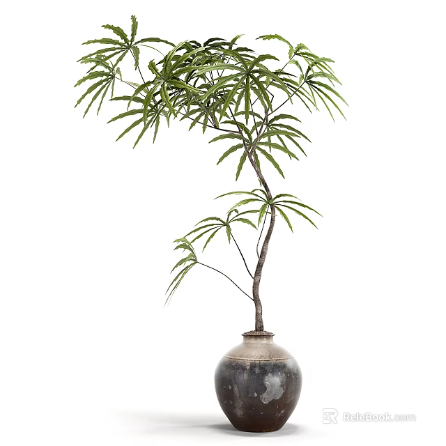 Indoor Decorative Bonsai Plant With Green Leaves Slender Trunk And Dark Ceramic Pot 3d model 