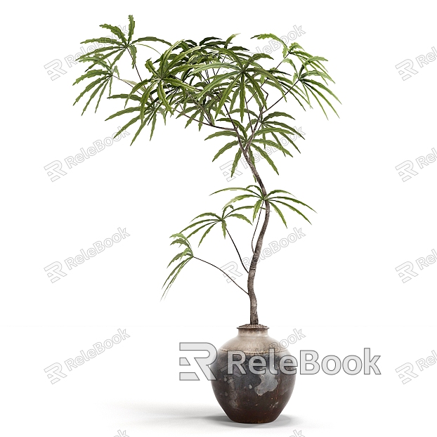 potted plant bonsai plant green plant model