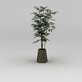 Innovative Tech Exhibition Hall With Bamboo Plant In Wooden Pot