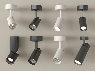 Modern Downlights And Spotlights In Black And White Various Designs For Home 3d model