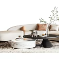 Modern sofa coffee table combination 3d model