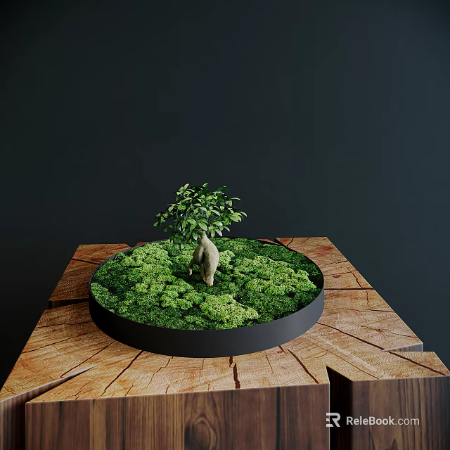 Bonsai Plant In Round Black Container With Green Moss Small Tree Statue On Wooden Table 3d model 