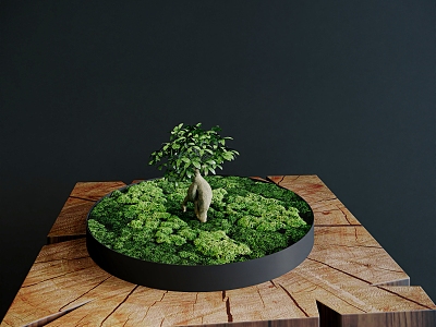 Moss Bonsai model