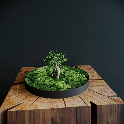 Bonsai Plant In Round Black Container With Green Moss Small Tree Statue On Wooden Table 3d model