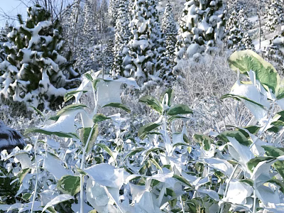 Beautiful Snowy Winter Landscape With Snow Covered Plants And Pine Trees 3d model