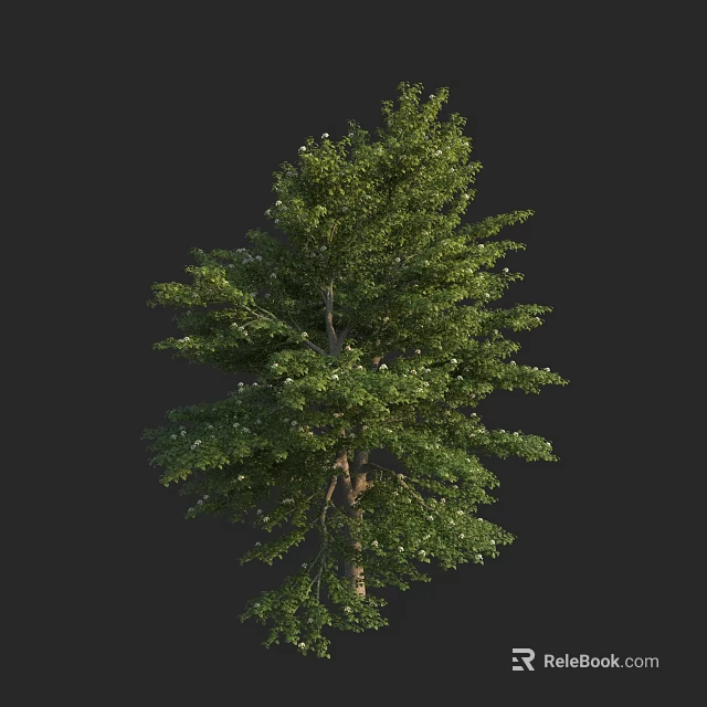 Tall Arbor With Lush Green Foliage And Strong Trunk In Natural Setting 3d model 