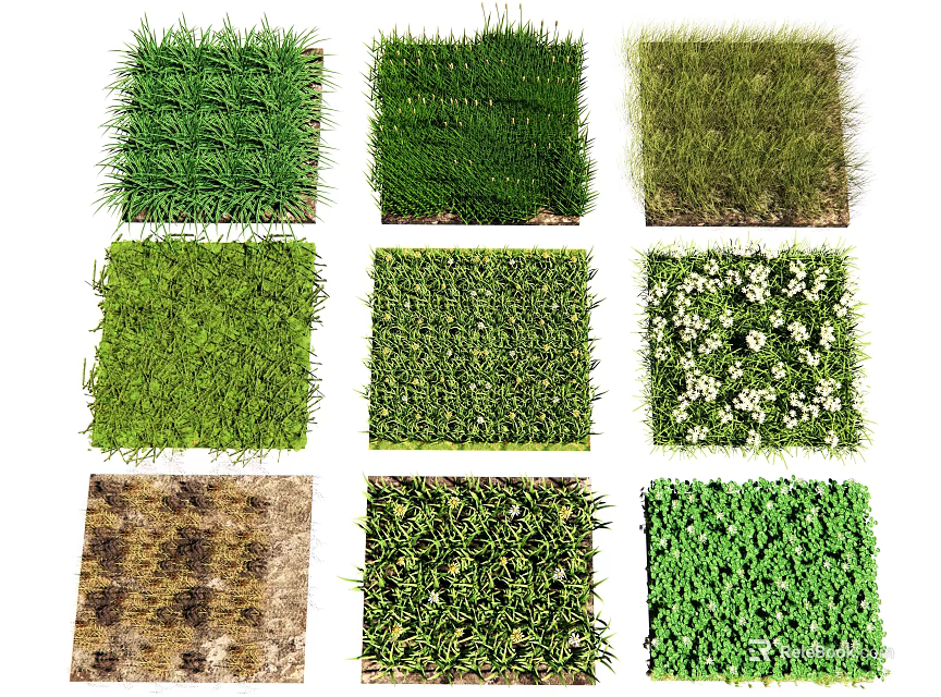 Assorted Green Grass and Flower Turf Samples With Diverse Textures and Blossoms 3d model