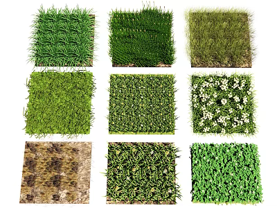 Assorted Green Grass and Flower Turf Samples With Diverse Textures and Blossoms 3d model