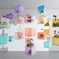 Decorative Transparent Cube Planters Hanging With Colorful Flowers And Green Plants
