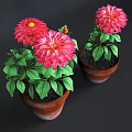 Vibrant Potted Plants With Red Dahlia Flowers Green Leaves And Brown Clay Pots