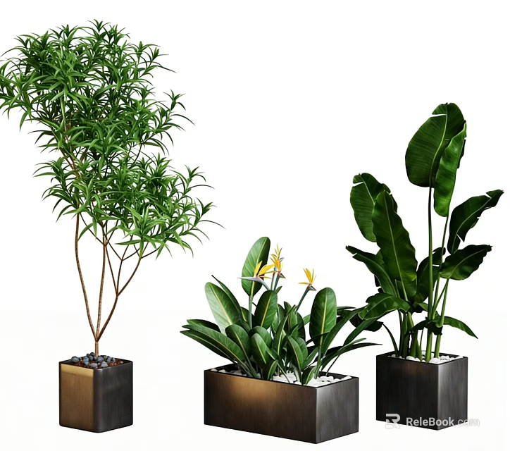 Plant Combination Featuring Tall Slender Yellow Flowering And Large Leafy Plants In Metal Square Planters 3d model 