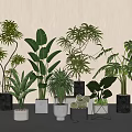 Modern Indoor Potted Plants With Various Leafy Green Species And Stylish Ceramic Metal Planters