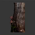 Lush Green Moss and Red Mushrooms Growing on a Natural Tree Stump with Small Plants