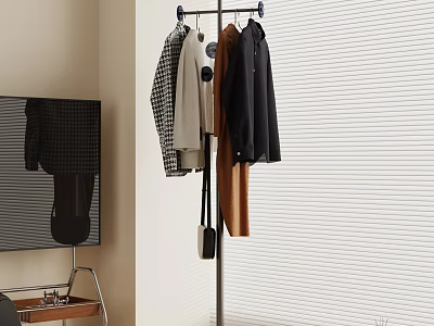 Indoor Clothing Rack With Hanging Clothes Next To Window Blinds 3d model