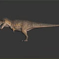 Tyrannosaurus Rex Dinosaur in Standing Pose With Open Mouth Sharp Teeth and Brown Orange Skin