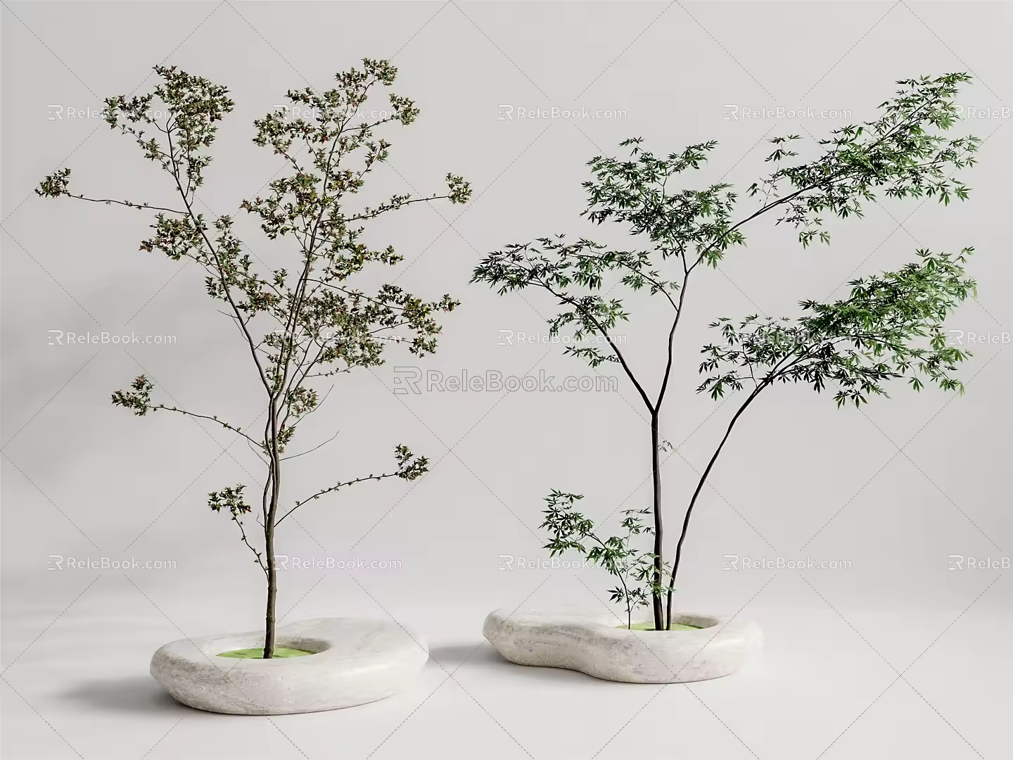 Modern Tree Landscape Tree 3d model