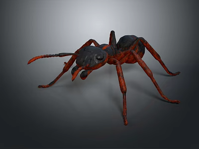 3D Model Black and Red Ant with Detailed Legs and Antennae on Gray Background 3d model