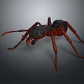 3D Model Black and Red Ant with Detailed Legs and Antennae on Gray Background