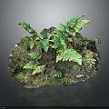 Detailed Miniature Natural Landscape Component With Lush Green Ferns And Mossy Covering