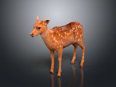 Cute Brown Fawn With White Spots Standing On Gray Background With Reflection 3d model