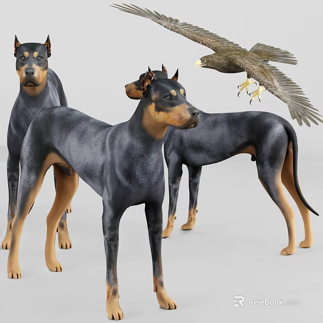 Various Reptile Species Including Lizards And Turtles In Natural Habitat Setup 3d model 