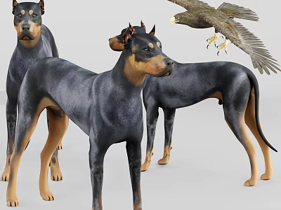 Various Reptile Species Including Lizards And Turtles In Natural Habitat Setup 3d model