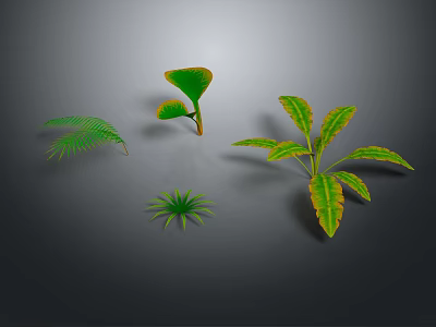 Four Green Plants Fern Yellow Edged Leaves Small Palm Like And Leafy On Dark Background 3d model