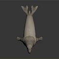 Realistic Gray Walrus Model With Open Mouth And Textured Skin On Smooth Reflective Surface