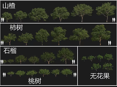 Different Types of Arbor Trees Including Hawthorn Persimmon Pomegranate Peach and Fig Trees 3d model