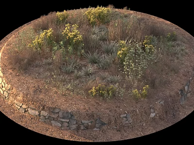Circular Garden Bed Design With Stone Wall And Mixed Yellow Flowers Green Grasses 3d model