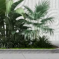 Lush Green Tropical Plants With Palm Leaves And Banana Foliage Against Textured Wall