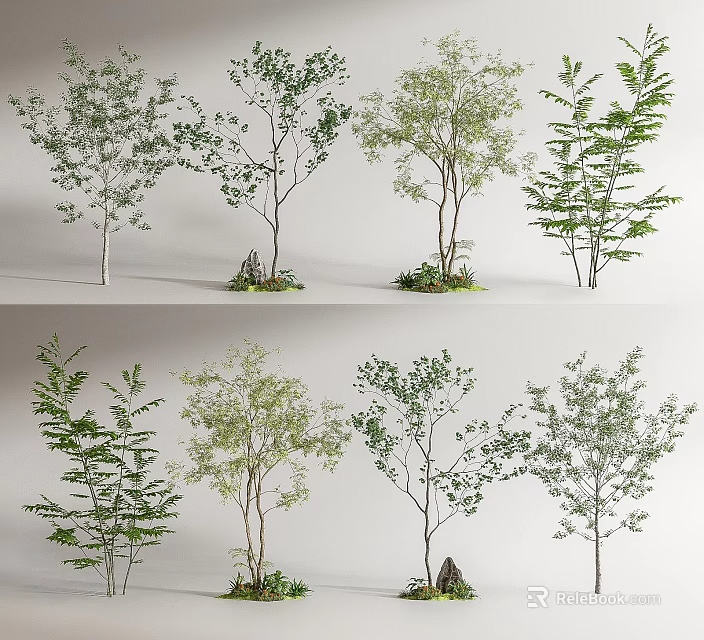 Various Arbor Trees With Green Leaves Different Trunk Shapes And Small Stones 3d model